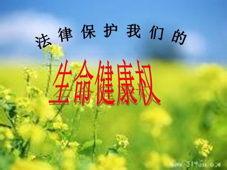 法律保护我们的生命健康权.ppt_第1页