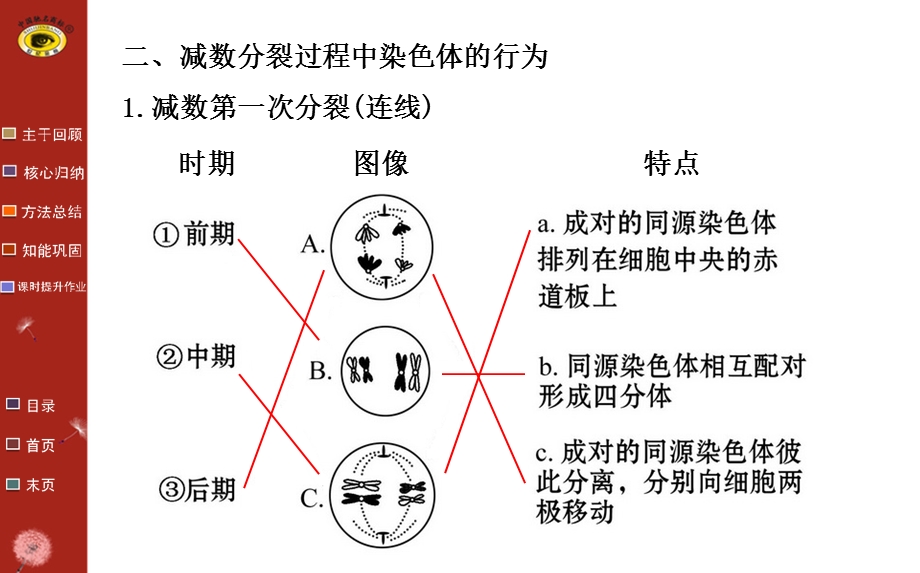 必修2第2章第1节.ppt_第2页