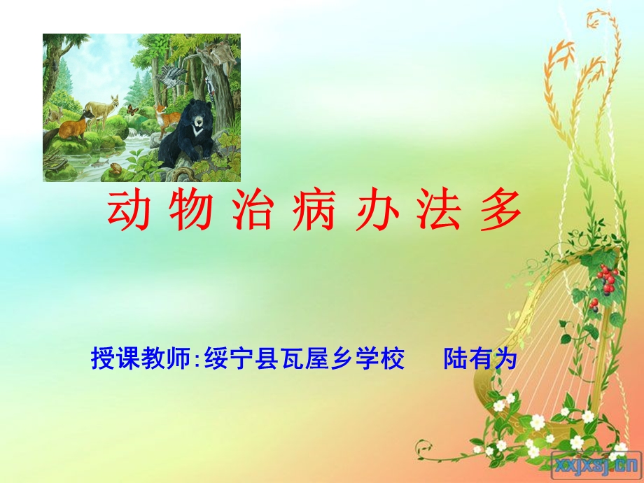 动物治病办法多（瓦屋乡学校）.ppt_第1页