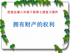 人教版思想品德八年级下册第七课复习课课件.ppt