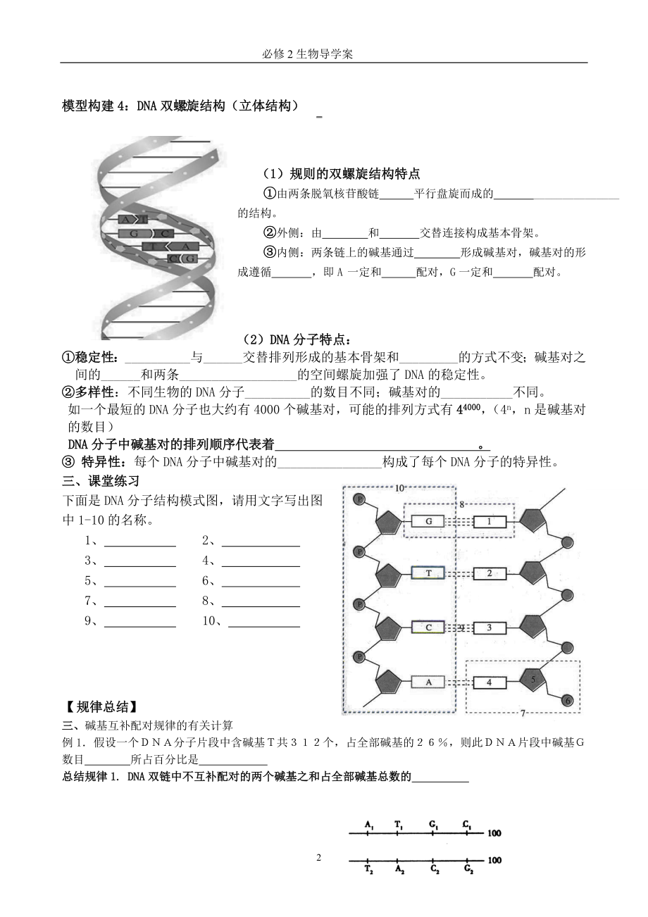 DNA分子结构导学案.doc_第2页