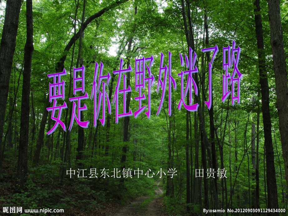 要是你在野外迷了路.ppt_第1页