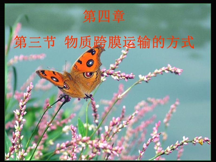 物质跨膜运输的方式.ppt_第1页