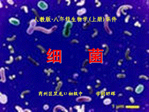 人教版八年级生物学(上册)课件.ppt