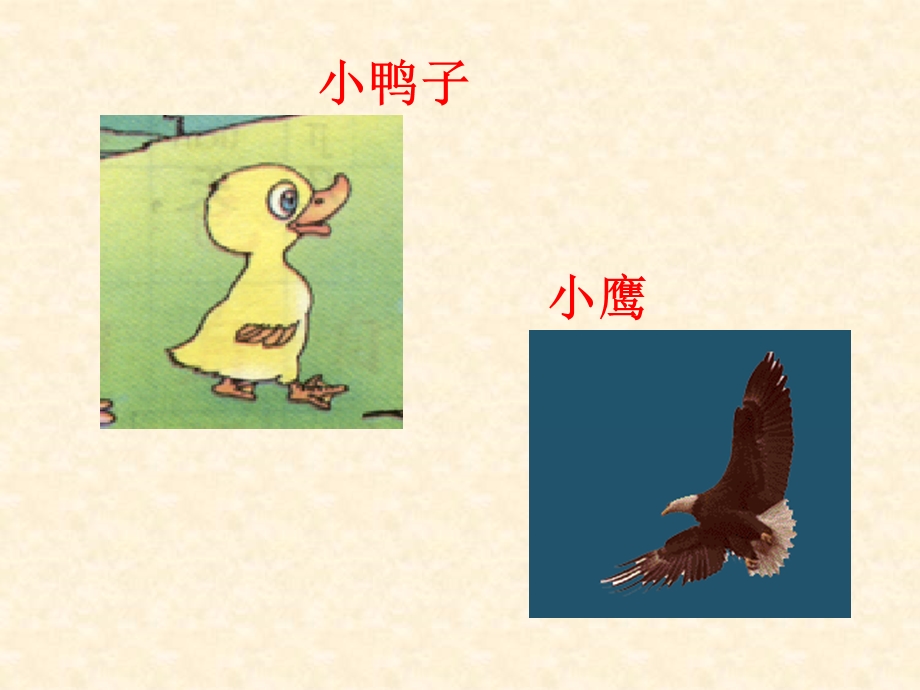 课文14《自己去吧》 (2).ppt_第1页