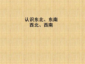 认识东北、东南西北、西南作业.ppt