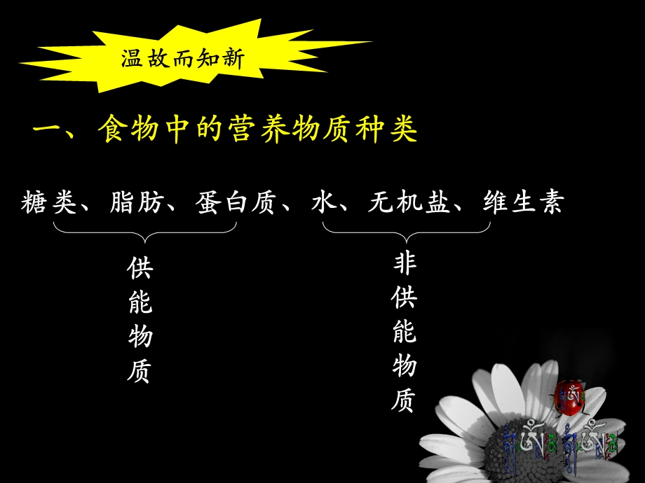 消化和吸收讲稿课件.ppt_第2页