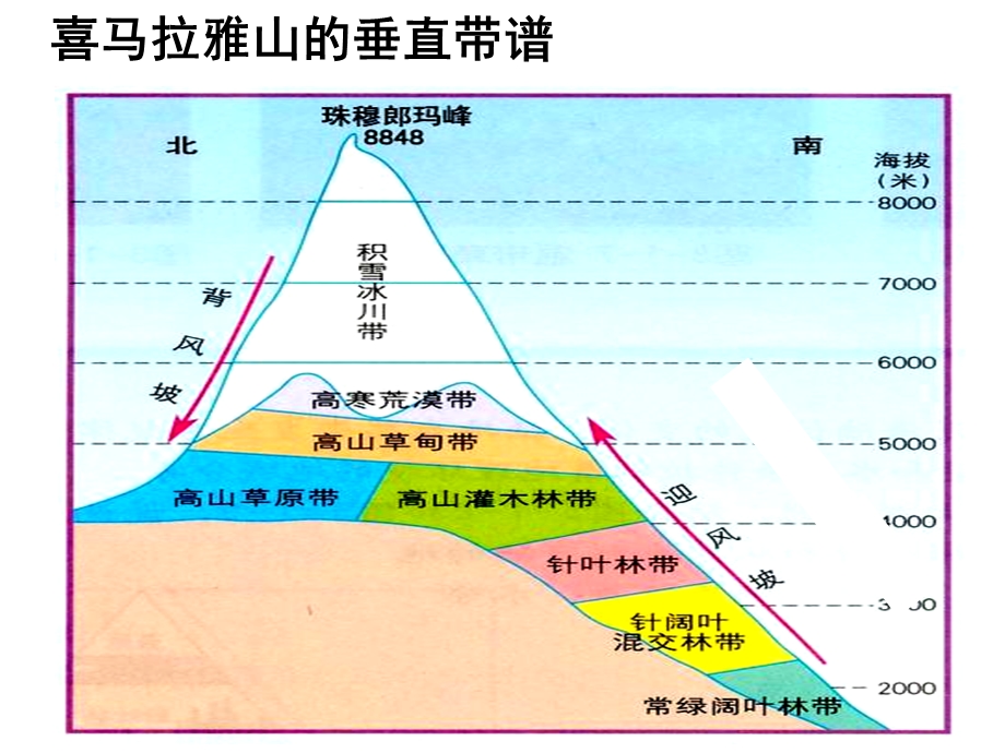 垂直地域分异规律.ppt_第3页