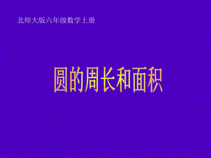 北师大版数学六年级上册《圆的周长与面积》课件.ppt