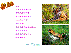 我的第一本书 (2).ppt