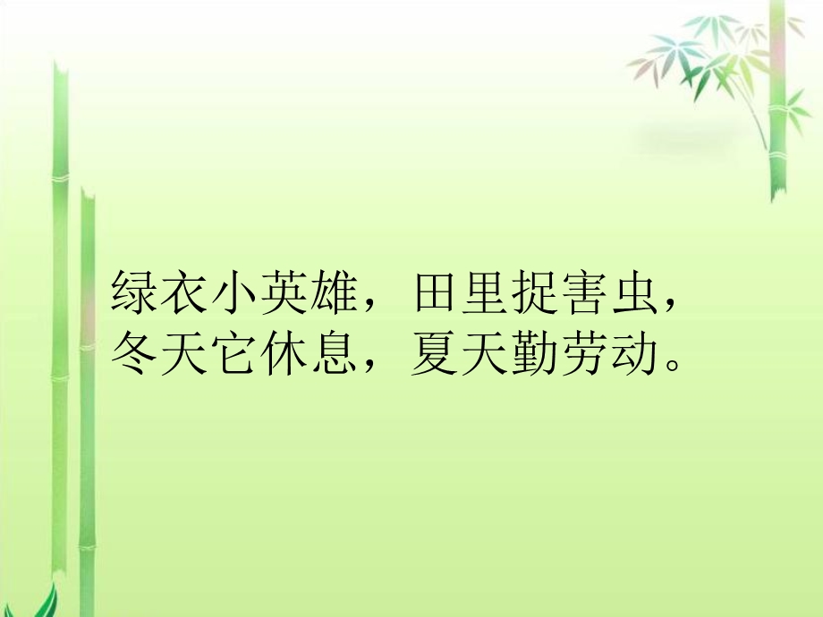 《快乐的小青蛙》终稿.ppt_第1页