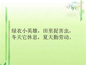 《快乐的小青蛙》终稿.ppt