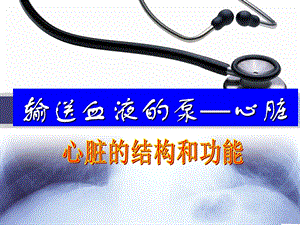 七年级生物下册2013最新_第四单元第四章第三节《输送血液的泵——心脏》(人教版).ppt