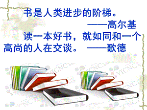 新人教版二年级下册19、最大的书.ppt