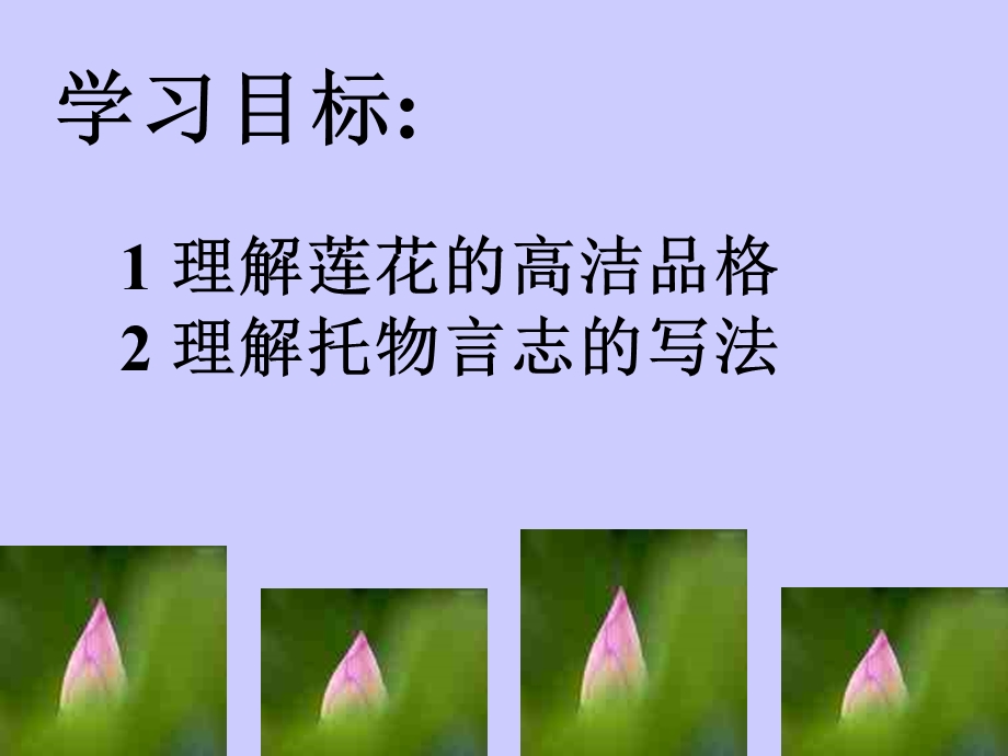 八年级语文爱莲说.ppt_第2页