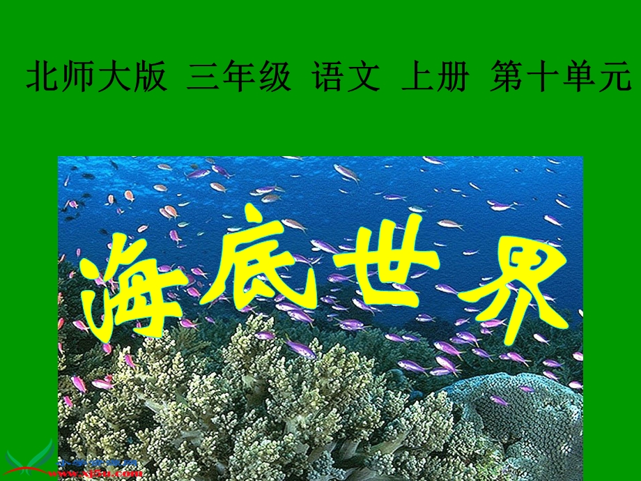 北师大版三年级语文上册《海底世界》课件.ppt_第1页