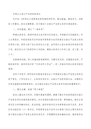 市委办公室从严治党经验亮点.docx