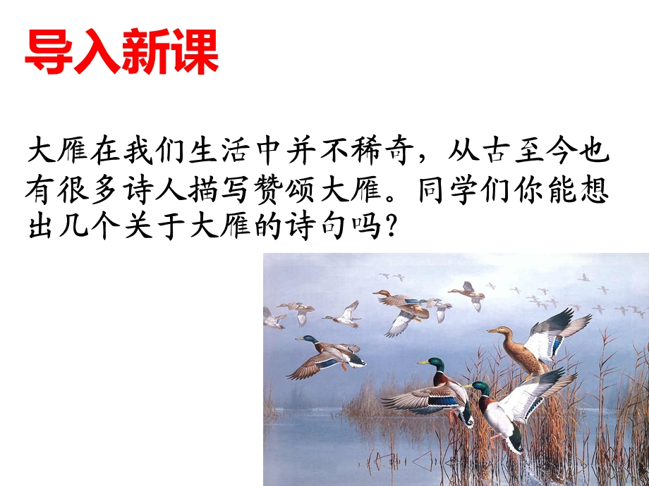 大雁归来 (2).ppt_第1页