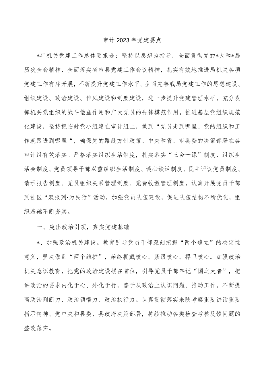 审计2023年党建要点.docx_第1页