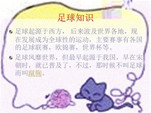 《第一千个球》课件.ppt