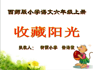 《收藏阳光》课件1.ppt