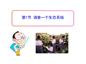 《调查一个生态系统》参考课件.ppt