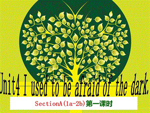 Unit4I_used_to_be_afraid_of_the_dark_SectionA(1a-2b)第一课时.ppt