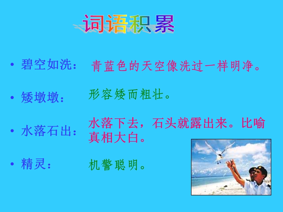 彩色的翅膀PPT课件 (2).ppt_第3页