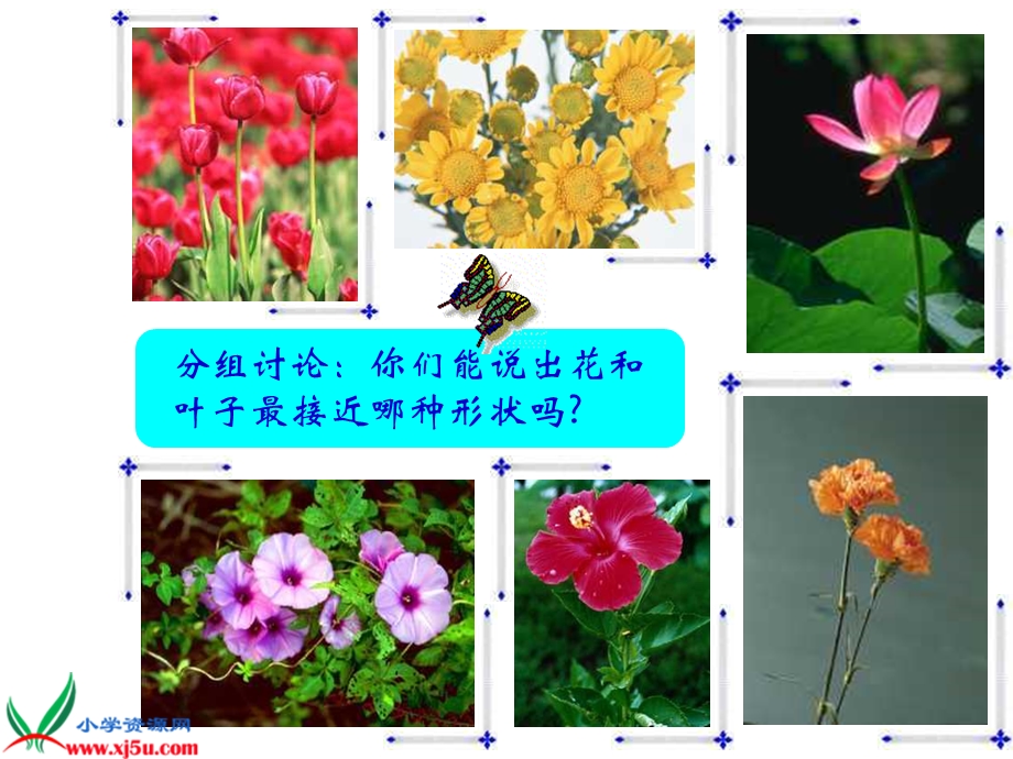 《茂密的花》课件(人美版二年级美术下册课件).ppt_第3页