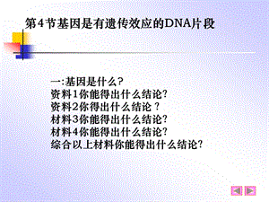 基因是有遗传效应的DNA片段.ppt