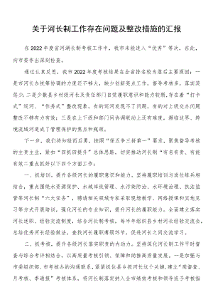 关于河长制工作存在问题及整改措施的汇报.docx