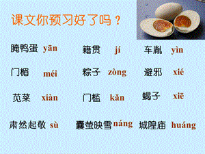 端午的鸭蛋(PPT).ppt