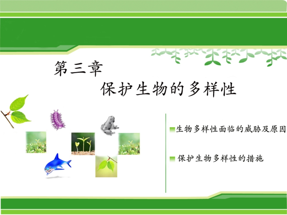 保护生物的多样性.ppt_第1页