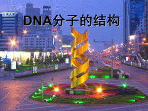 DNA分子结构 (2).ppt