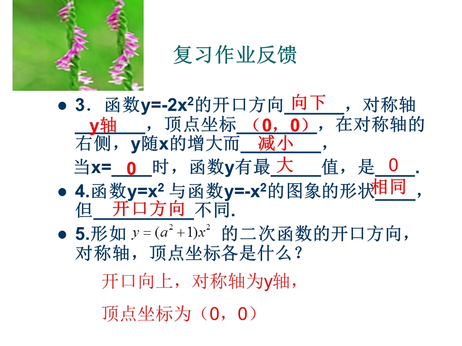 二次函数y_ax2+k图象.ppt_第3页