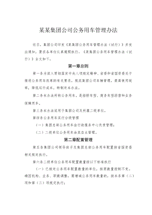 某某集团公司公务用车管理办法.docx