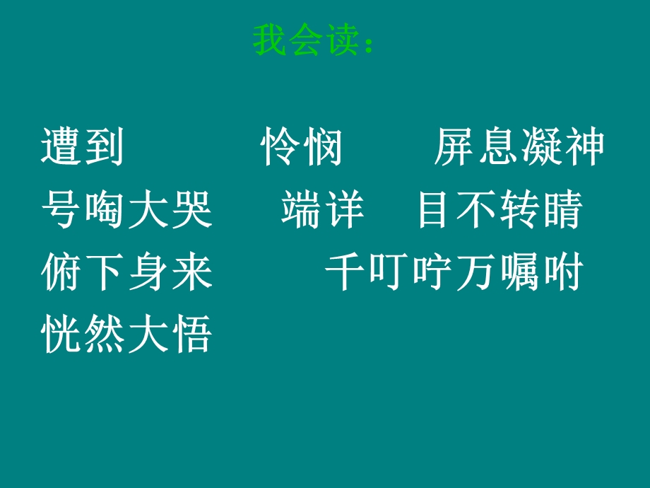 王福俭卡罗纳课件.ppt_第3页