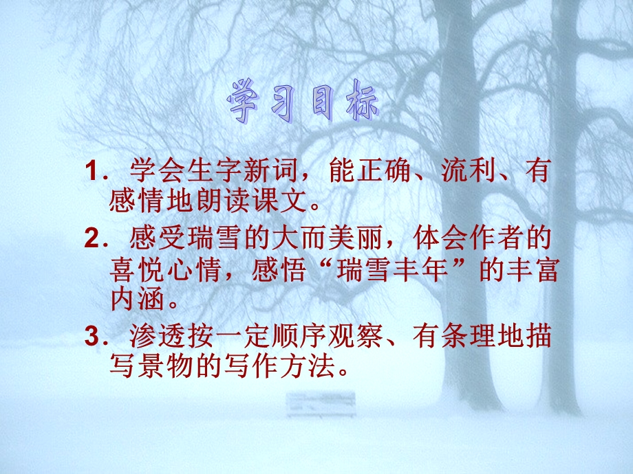 北师大版小学四上《瑞雪图》课件.ppt_第2页