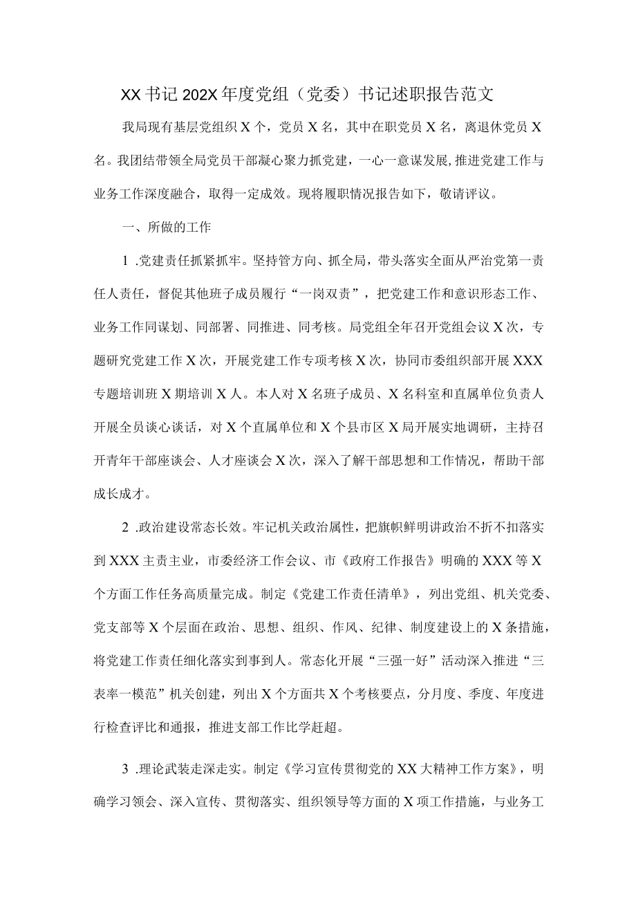 XX书记202X年度党组（党委）书记述职报告范文.docx_第1页