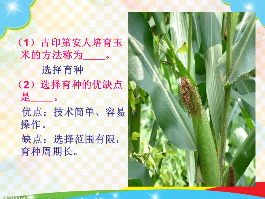 必修二第六章第一节缪斯.ppt_第2页