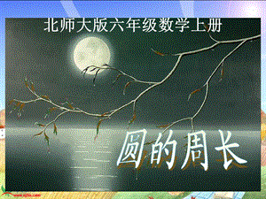 北师大版数学六年级上册《圆的周长》PPT课件.ppt