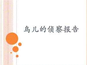 《鸟儿的侦察报告》课件1.ppt