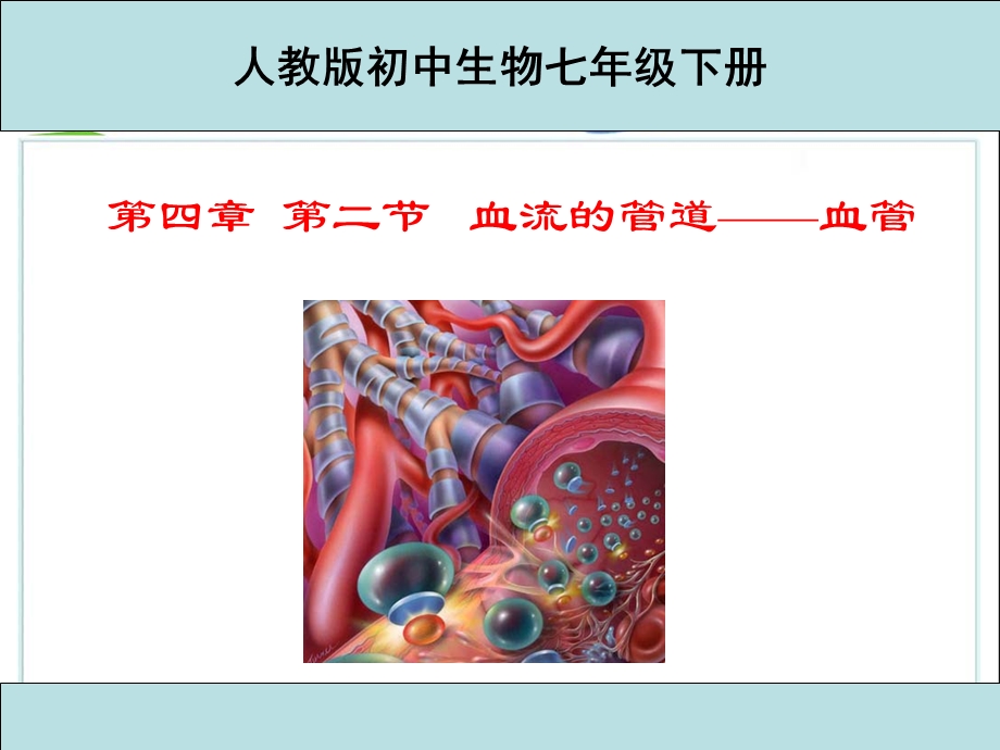 初中一年级生物下册第四单元　第四章人体内物质的运输第二节血流的管道──血管第一课时课件.ppt_第1页