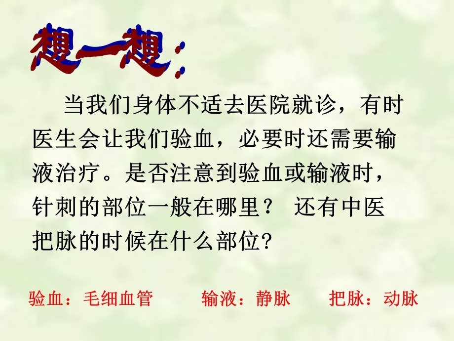 初中一年级生物下册第四单元　第四章人体内物质的运输第二节血流的管道──血管第一课时课件.ppt_第2页