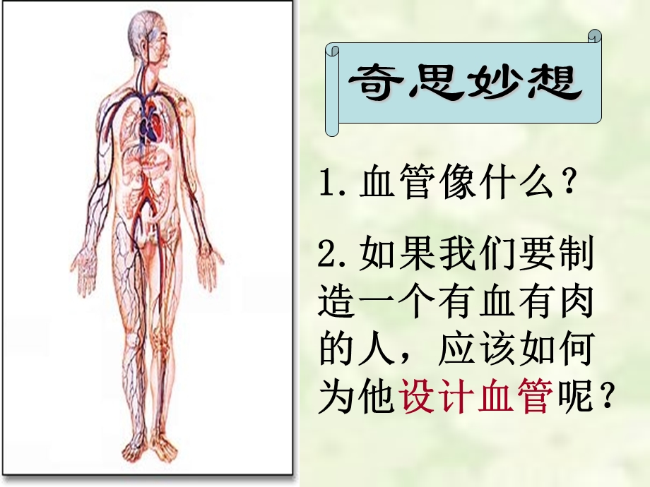 初中一年级生物下册第四单元　第四章人体内物质的运输第二节血流的管道──血管第一课时课件.ppt_第3页