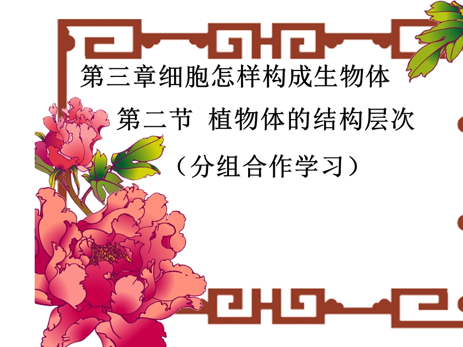 《植物体的结构层次》.ppt_第1页