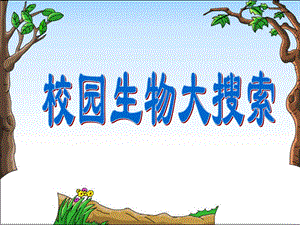 《校园生物大搜索》教学课件.ppt