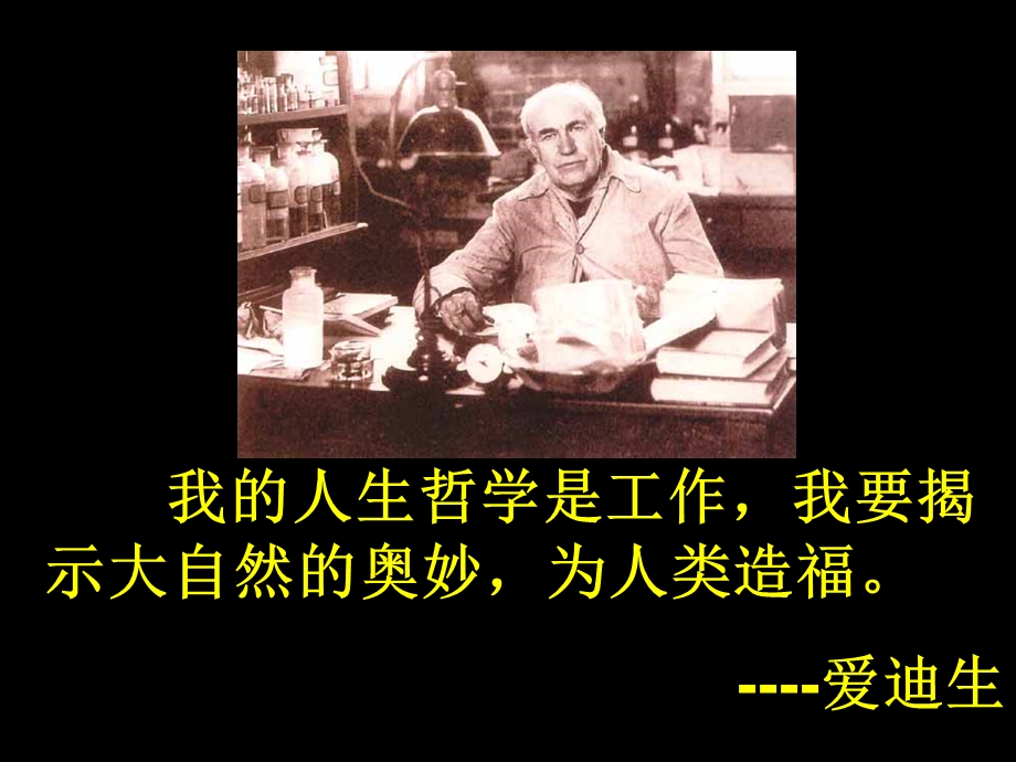 《蝙蝠与雷达》阳萍.ppt_第2页