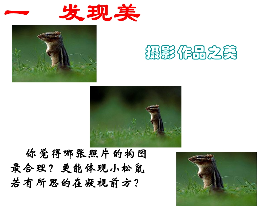 黄金分割提高数学兴趣.ppt_第3页