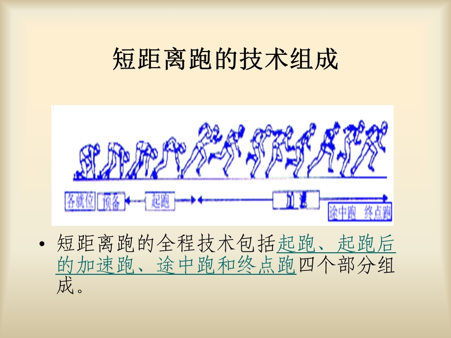 初中体育短距离跑技术简介课件.ppt_第2页